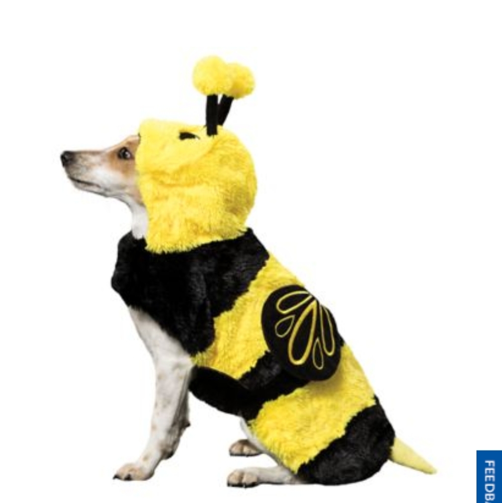 NEW HALLOWEEN THRILLS & CHILLS PET COSTUMES